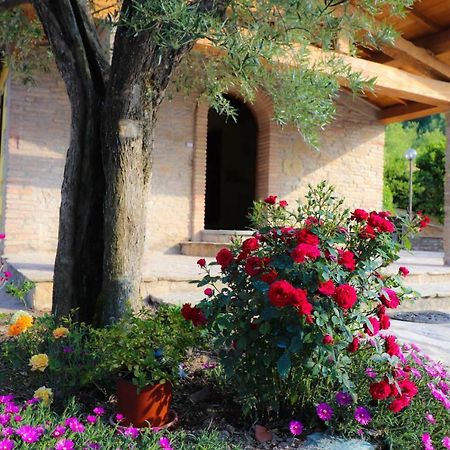 Agriturismo La Tana Città di Castello Eksteriør billede