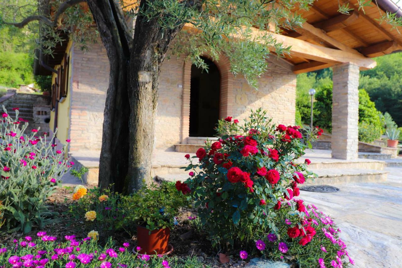 Agriturismo La Tana Città di Castello Eksteriør billede
